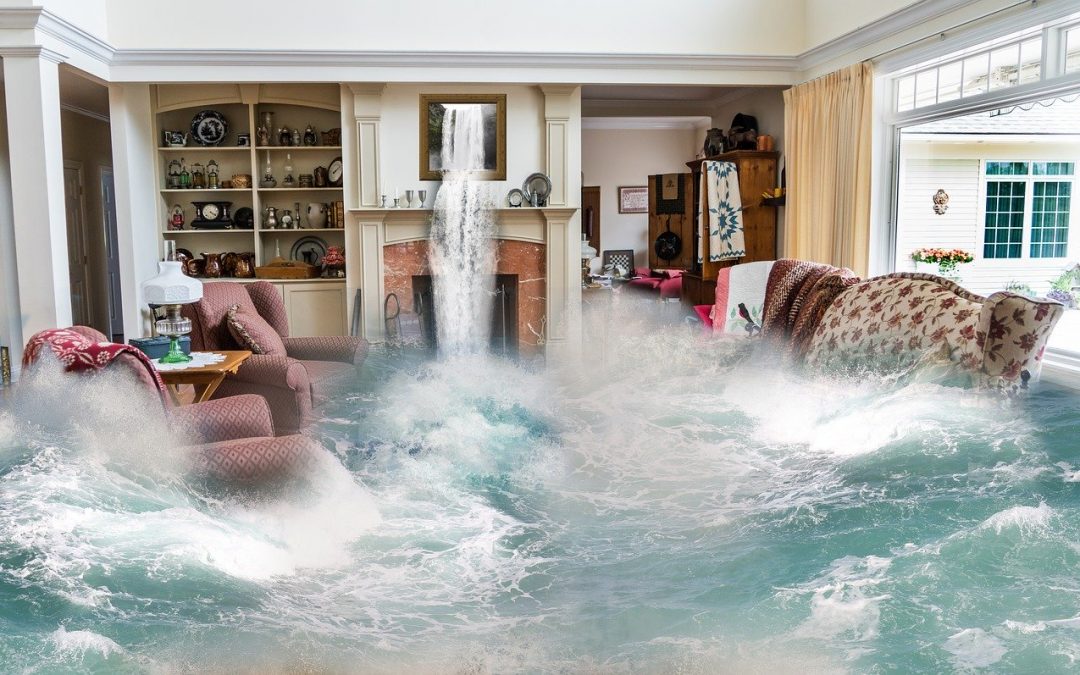Why It Is Important To Leave Water Damage Restoration Projects To The Pros