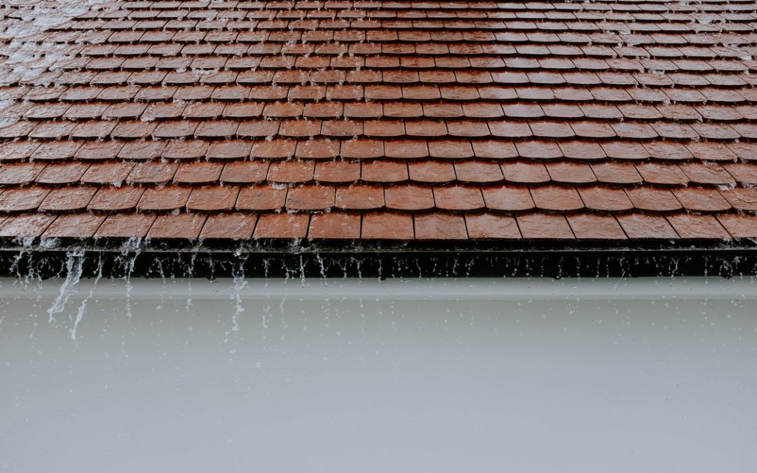 Home Roofing Repair and Maintenance – Essentials and Other Guidelines to Keep in Mind