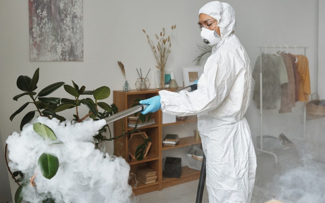 Comparing Different Pest Control Services 